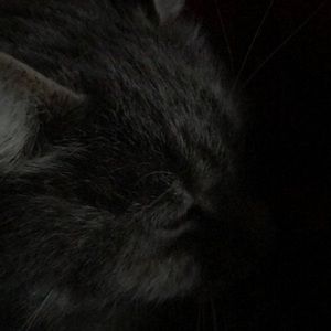 Meet your Posher, Eileen